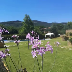  Frühstückspension Alba Morus Bed E Breakfast Sentiti A Casa Nel Cuore Della Toscana